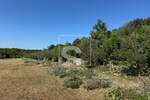 Zemljiste, Marčana, Rakalj, prodaja, 55000 €, 5028 m2