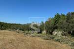 Zemljiste, Marčana, Rakalj, prodaja, 55000 €, 5028 m2