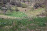 Zemljiste, Matulji, Pasjak, prodaja, 47000 €, 20575 m2