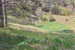 Zemljiste, Matulji, Pasjak, prodaja, 47000 €, 20575 m2