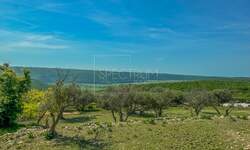 Zemljiste, Buje, prodaja, 380000 €, 2133 m2