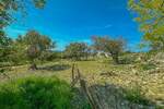 Zemljiste, Buje, prodaja, 380000 €, 2133 m2