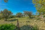 Zemljiste, Buje, prodaja, 380000 €, 2133 m2