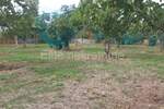 Zemljiste, Marčana, Krnica, prodaja, 87000 €, 1200 m2