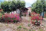 Kuca, Marčana, prodaja, 140000 €, 53 m2