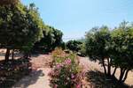Kuca, Marčana, prodaja, 140000 €, 53 m2
