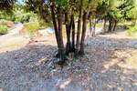 Kuca, Marčana, prodaja, 140000 €, 53 m2