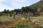 Zemljiste, Dubrovnik, Orašac, prodaja, 380000 €, 1720 m2