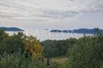 Zemljiste, Dubrovnik, Orašac, prodaja, 380000 €, 1720 m2