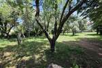 Zemljiste, Medulin, prodaja, 350000 €, 0 m2