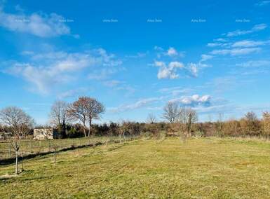 Zemljiste, Marčana, prodaja, 257500 €, 0 m2