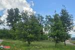 Zemljiste, Sveta Nedelja, Vrećari, prodaja, 55000 €, 600 m2