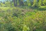 Zemljiste, Matulji, Pasjak, prodaja, 47000 €, 19177 m2