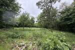 Zemljiste, Buje, prodaja, 170000 €, 0 m2