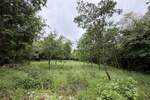 Zemljiste, Buje, prodaja, 170000 €, 0 m2