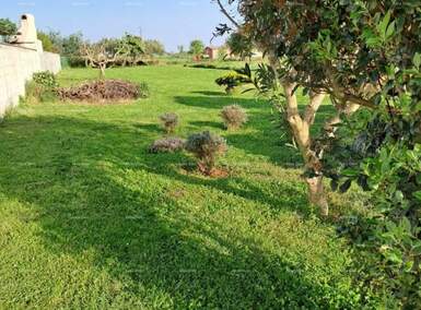 Zemljiste, Marčana, Loborika, prodaja, 164800 €, 0 m2