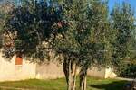 Kuca, Rovinj, prodaja, 350000 €, 130 m2