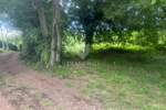 Zemljiste, Barban, prodaja, 65000 €, 807 m2