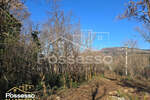 Zemljiste, Buzet, Roč, prodaja, 39200 €, 1005 m2