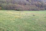 Zemljiste, Kanfanar, prodaja, 133000 €, 13270 m2