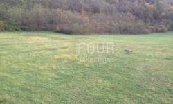 Zemljiste, Kanfanar, prodaja, 133000 €, 13270 m2