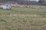 Zemljiste, Ližnjan, Šišan, prodaja, 28000 €, 560 m2