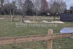 Zemljiste, Ližnjan, Šišan, prodaja, 28000 €, 560 m2