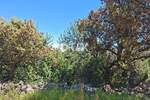 Zemljiste, Mali Lošinj, Osor, prodaja, 63000 €, 2160 m2