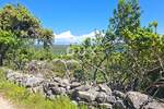 Zemljiste, Mali Lošinj, Osor, prodaja, 100000 €, 3874 m2