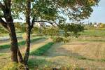 Zemljiste, Pazin, Lindar, prodaja, 153000 €, 0 m2