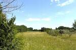 Zemljiste, Ližnjan, Muntić, prodaja, 287000 €, 5350 m2
