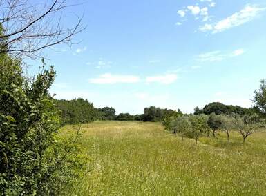 Zemljiste, Ližnjan, Muntić, prodaja, 287000 €, 5350 m2