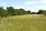 Zemljiste, Ližnjan, Muntić, prodaja, 287000 €, 5350 m2