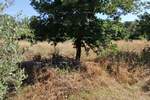 Zemljiste, Pula, Busoler, prodaja, 597000 €, 0 m2