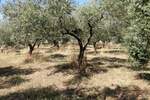 Zemljiste, Pula, Busoler, prodaja, 597000 €, 0 m2