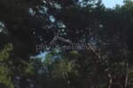 Zemljiste, Hvar, prodaja, 532000 €, 2800 m2