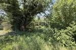 Zemljiste, Vinodol, Bribir, prodaja, 57000 €, 768 m2