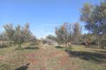 Zemljiste, Fažana, prodaja, 31800 €, 1017 m2