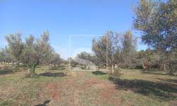 Zemljiste, Fažana, prodaja, 31800 €, 1017 m2