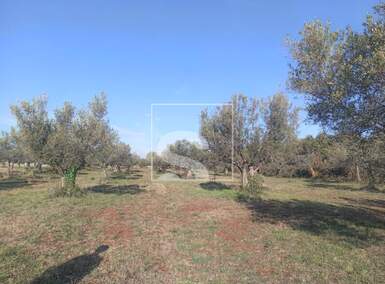 Zemljiste, Fažana, prodaja, 31800 €, 1017 m2