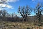 Zemljiste, Vinodol, Bribir, prodaja, 70000 €, 512 m2