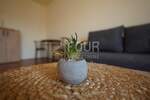 Jednosoban stan, Rijeka, Krnjevo, najam, 450 €, 23 m2