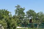 Zemljiste, Umag, prodaja, 30000 €, 524 m2