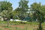 Zemljiste, Umag, prodaja, 30000 €, 524 m2