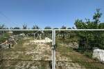 Zemljiste, Umag, prodaja, 30000 €, 524 m2