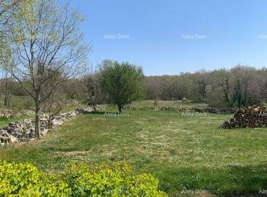Zemljiste, Višnjan, prodaja, 97000 €, 0 m2