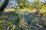 Zemljiste, Karojba, Rakotule, prodaja, 99000 €, 1172 m2