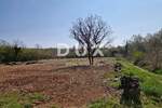 Zemljiste, Poreč, prodaja, 170000 €, 2768 m2