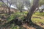 Zemljiste, Krk, prodaja, 55000 €, 2087 m2