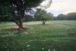 Zemljiste, Labin, prodaja, 79000 €, 0 m2